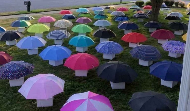 My Son Gave His Umbrella to a Pregnant Stranger in the Rain – The Next Morning, 47 Umbrellas Appeared on Our Lawn, Each With a Numbered Box That Made My Heart Stop
